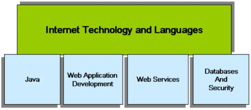 Figure 10.  Internet Technology and Languages