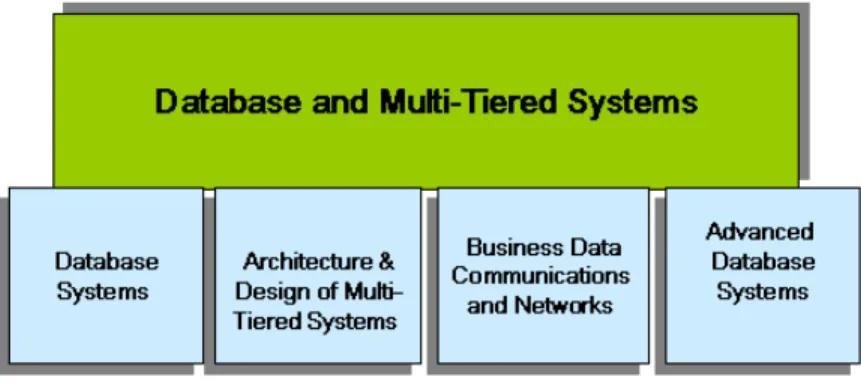 Figure 5.  Database and Multi-Tiered Systems