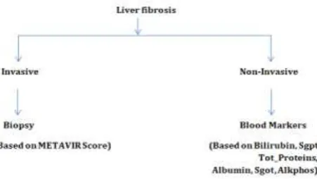 Figure 1. Comparison chart for liver fibrosis methods. 