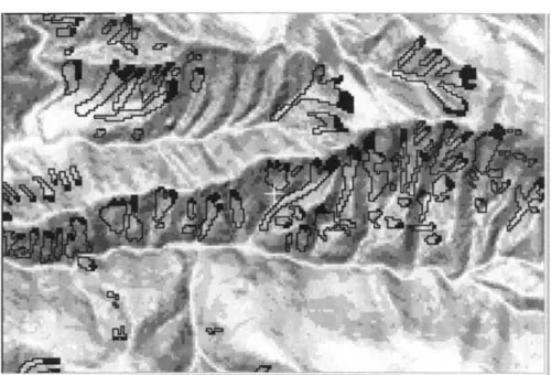 Figure 1. Scars of the past landslides induced by the 1994 Northridge Earthquake in Califor- Califor-nia, U.S.A
