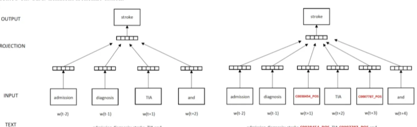 Figure 2.  The framework to learn contextualized phenotype embedding from labelled data that an natural language processing model m was trained or validated on