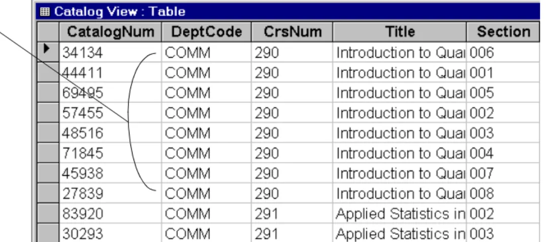 FIGURE 3.1: The “monolithic” approach to database design—the Catalog View table contains  information about courses and sections.