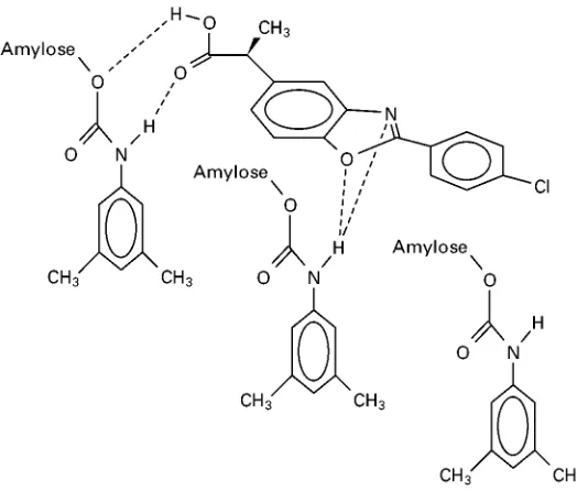 Figure 4Representative interactions between S-benoxaprofen and the AD-CSP, representing a conformationally driven chiralrecognition mechanism.