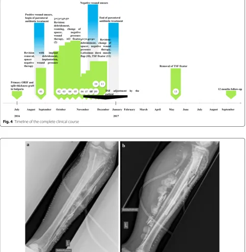Fig. 4 Timeline of the complete clinical course