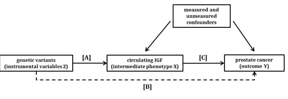 Figure 1. Directed acyclic graph (DAG) showing the instrumental variable (IV) assumptions underpinning a Mendelian 