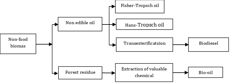 Fig -1: Conversion process of first generation biofuel (Owolabi, 2011). 