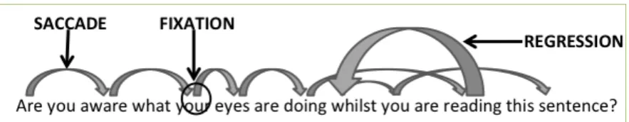 Figure 2: Key eye-tracking measures (Brunfaut & McCray, 2015, p. 10) 