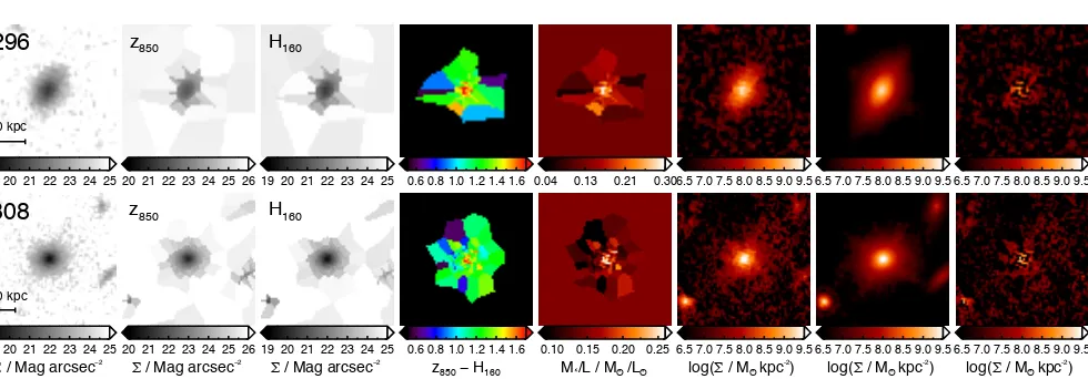 Figure 7. Examples of mass map derivation and ﬁtting of two passive galaxies (ID 296, 308) in cluster XMMUJ2235-2557