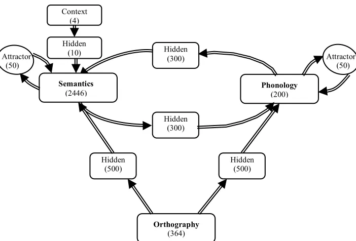 Figure 1. The architecture of the developmental model of reading.  