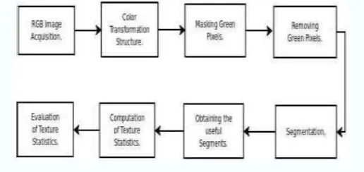 Figure No.2: Pre-processed image  