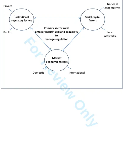 Figure 1: Entrepreneurial Skill and Regulation: Conceptual Framework 