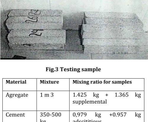 Fig.3 Testing sample 