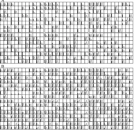 Figure 3.8: Folding and retention of function.(A) Six 96-well plates of 21B3 mutants.parent, the next four wells are cells containing a null vector, and the last well in the bottomrow contains no cells