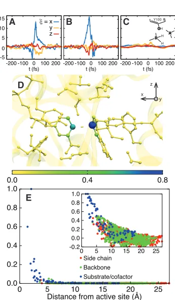 Figure 1.3: The dynamical correlation measure f⇠i (t), plotted for (A) the donoratom, (B) the acceptor atom, and (C) the side-chain O atom in the Y100 residue ofthe active site