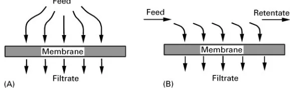 Figure 2Comparison of (A) dead-end and (B) cross-flow configurations.