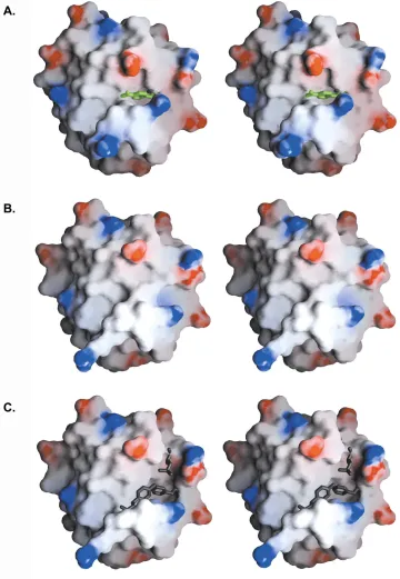 Figure 3.3 focusing on the active site of PZD2 with substrate atoms in green (A) and cleft is present in the design of PZD2 that is largely filled in the wild type structure
