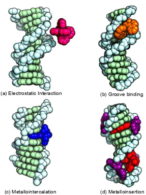 Figure 1.1. Four modes of non-covalent interactions between transition metal complexes and DNA: (a) electrostatic interactions between [Ru(bpy)3]2+ and the negatively-charged DNA, (b) groove binding of Cu(phen)22+ in the minor groove of DNA, (c) intercalat
