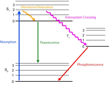 Figure 1.1: An example of a Jablonski diagram.
