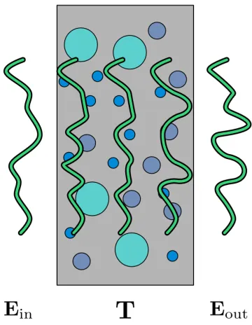 Figure 1.10: A an example of the transmission matrix terminology for wave-fronts passing through scattering media