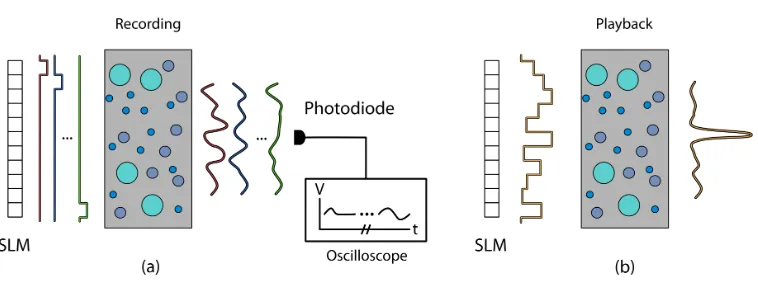 Figure 1.12: Feedback-based wavefront shaping.ing uses a signal from a desired focal location as a feedback signal and createsdiﬀerent, orthogonal input patterns to maximize the intensity at that location
