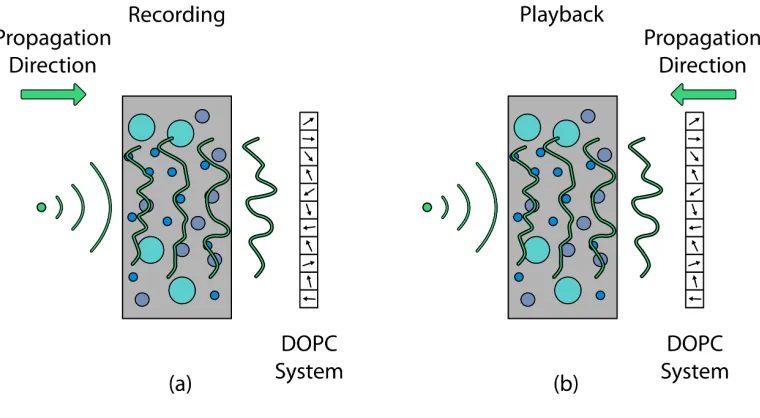 Figure 1.13: Time-reversal-based wavefront shaping. Time-reversal-based wave-front shaping uses the scattered light from a source of light within the sample andthen sends a time-reversed copy of that wavefront back into the scattering medium tofocus back o