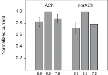 Figure 2.3  ACh and norACh response in whole-cell currents were recorded in response to 10 αL9’S muscle nAChR measured at varying pH