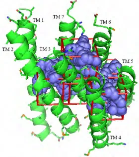 Figure 5. The boxes containing the spheres into which the antagonists ritanserin, methiothepin and metergoline were docked