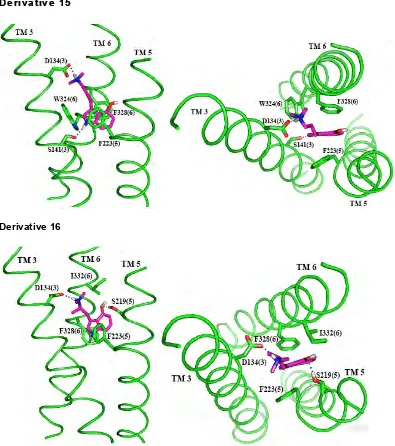 Figure 11. Side and top view of the SAR ligands.  The TMs not shown do not directly interact with the ligand