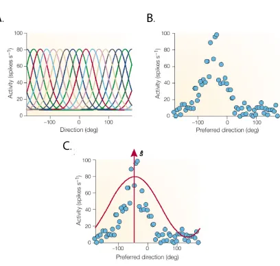 Figure 1.2 Tuning Curves. A. Several different tuning curves each with a preferred responsedirection that collectively cover a range of values