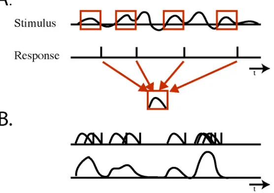 Figure 1.5 A. An example of the reverse correlation technique for extracting spike triggeredstimulus averages (STSAs)