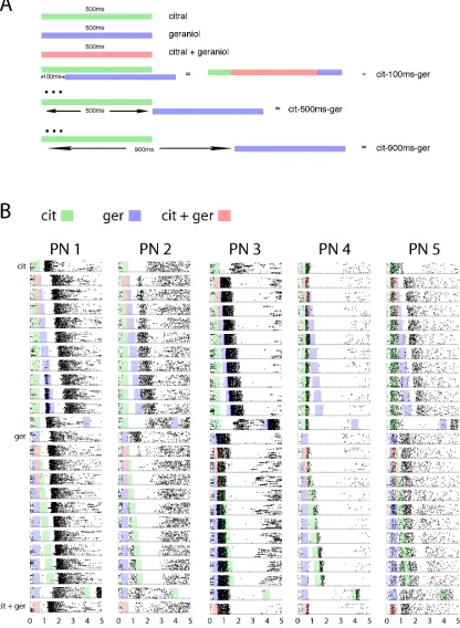 Figure 2.1, Stimulus Description and PN responses to Overlapping StimuliA: Description of stimuli
