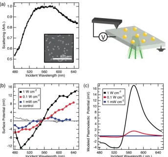 Figure 2.11: Plasmoelectric eﬀ(gray). (c) Modeled plasmoelectric potential for 60-nm-diameter Au nanoparticleson ITOscanned monochromatic illumination (see schematic geometry)