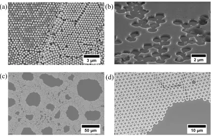 Fig 2.6. Optical photographs of the entire 1 x 1 cm YSZ substrate (a) and a zoomed in view of one corner (b) with a single spin coating of PS microspheres