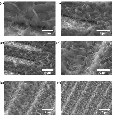 Fig. 3.8. SEM images of the as-deposited HSA microstructure deposited on YSZ/5-5 µm platinum pattern substrates at 0.8 mA cm-2 with the undoped electrolyte for 5 minutes (a), (b), and (c); and 10 minutes (d), (e), and (f)