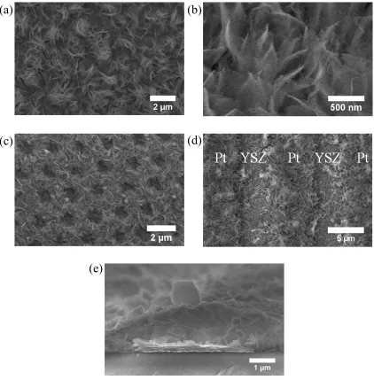 Fig. 3.9. SEM images of the as-deposited HSA microstructure deposited at 0.8 mA cmdoped electrolyte