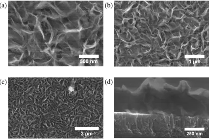 Fig. 3.10. SEM images of the as-deposited HSA microstructure obtained with the doped + H2O2 electrolyte at 0.8 mA cm-2