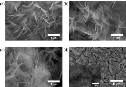 Fig. 3.11. Doped electrolyte HSA morphology high temperature stability with platinum paste networks on YSZ substrates: (a) annealed for 10 hours in ambient air at 800 °C; (b) 1000 °C; and (c) 1100 °C