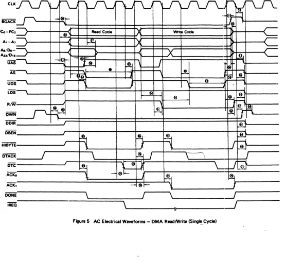 Figure 5 AC Electrical Waveforms - DMA ReadlWrite (Singl!. Cycle) 