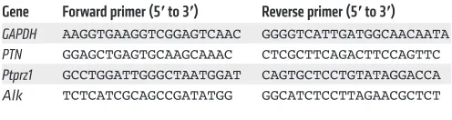 Table 1. Primer sequences for real-time PCR