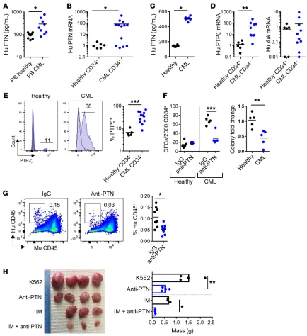 Figure 6. Anti-PTN antibody suppresses human CML stem cell function. (8–10/group). (group)