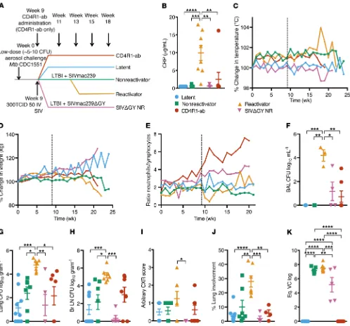 Figure 1. Comparison of CD4+ T cell–sparing SIVmac239ΔGY and antibody-mediated CD4+ T cell depletion using CD4R1 in Mtb-infected NHPs
