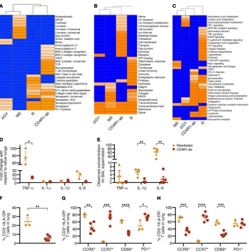 Figure 4. Immunological analyses of Mtb/SIV-coinfected and CD4R1-administered NHPs reveal reactivation-associated immune impairment