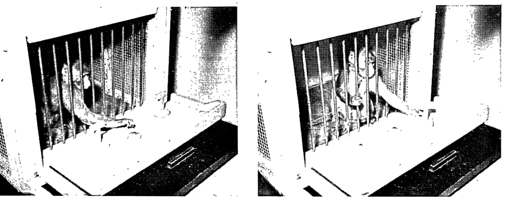 Figure I -- General test apparatus for monkeys 