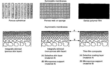 Figure 2Schematic representation of symmetric and asymmetric membrane structures.