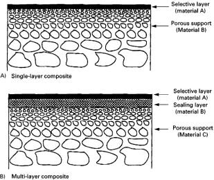 Figure 5Schematic diagram of (A) single-layer and (B) multi-layer thin-film composite membranes.
