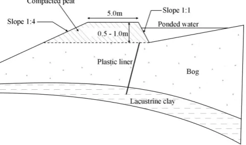 Figure 2. Cross-section through the parapet bund [4]. 