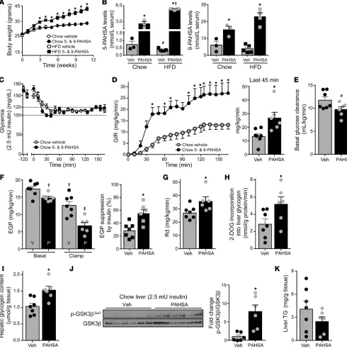 Figure 2. Chronic PAHSA treatment increases systemic insulin sensitivity in chow-fed mice