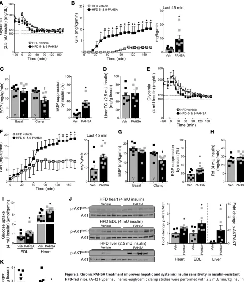 Figure 3. Chronic PAHSA treatment improves hepatic and systemic insulin sensitivity in insulin-resistant HFD-fed mice