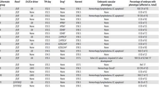 Table 1. Embryonic disruption of Rasa1