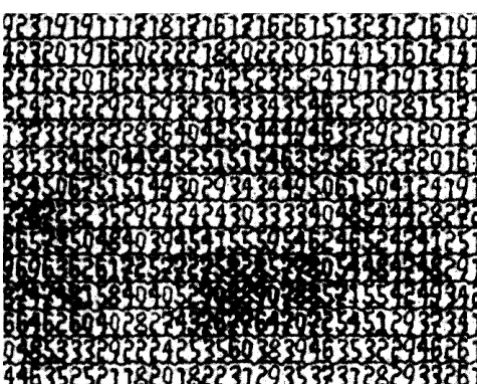 Figure 1 -of This shows a close-up of one of the eyes the digital Mona Lisa. Here the decimal digits in the cells can be seen; the digits are not visible in the reduced, screened picture on the front cover